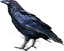 soave bird deco gothic blue - gratis png