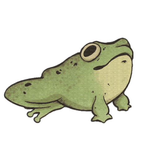 Frog Toad - Ingyenes animált GIF