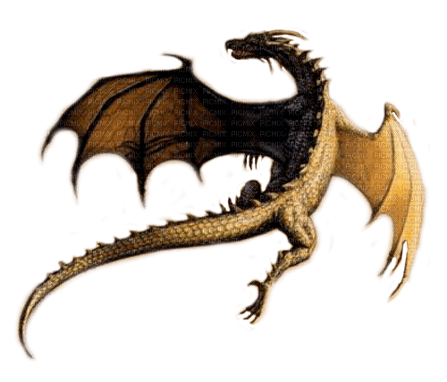 brown dragon by nataliplus - Free PNG