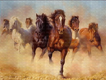 horses--NitsaPap - Gratis animeret GIF