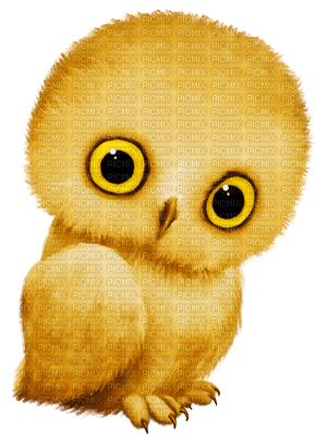 Kaz_Creations Birds Bird Owl - nemokama png