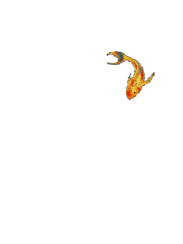 Рыба - GIF animate gratis