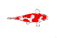 poison rouge - Nemokamas animacinis gif