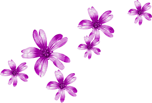 Flowers.Purple - bezmaksas png