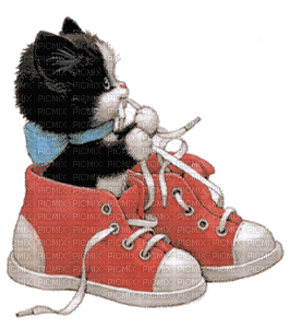 cat chat katze animal  gif shoes  anime animated animation      tube - Ücretsiz animasyonlu GIF
