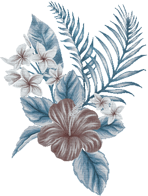 soave deco summer tropical branch - 無料のアニメーション GIF