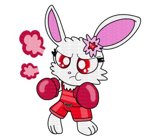 Jewelpets Ruby Boxing - gratis png