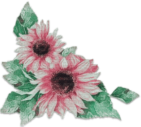 soave deco flowers sunflowers summer corner - δωρεάν png