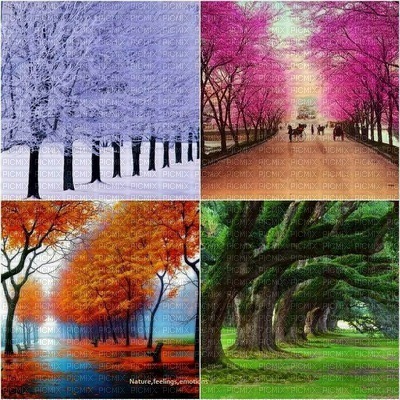 4 Seasons bp - PNG gratuit