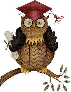 Graduation Owl - GIF animasi gratis