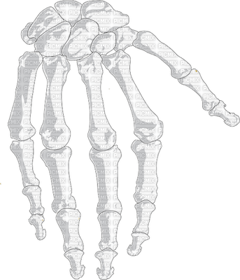hand, käsi, luuranko, skeleton - png grátis