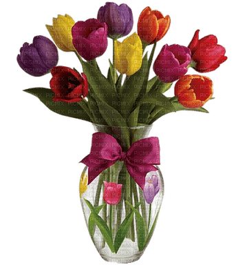 tulipan - bezmaksas png
