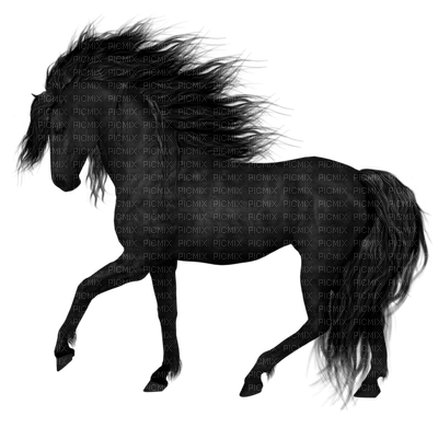 CHEVAL - Free PNG