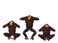 Apes - Gratis geanimeerde GIF