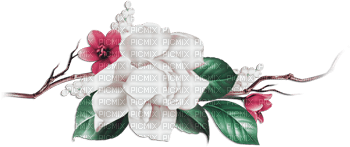 soave deco branch flowers rose pink green - δωρεάν png
