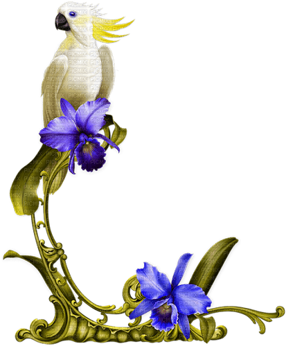 Parrot.Flowers.White.Blue.Green - png gratuito
