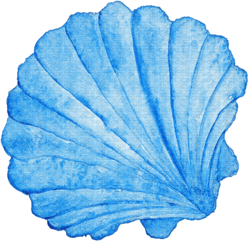 blue seashell Bb2 - png grátis