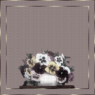 minou-frame-flower - 免费PNG