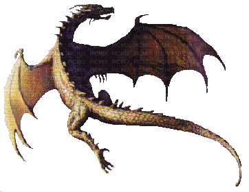 dragon - Nemokamas animacinis gif