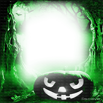 soave frame halloween pumpkin forest tree - 免费PNG