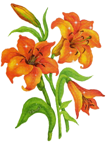 Y.A.M._Spring Flowers Decor - Δωρεάν κινούμενο GIF