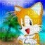 Classic Tails - 無料png