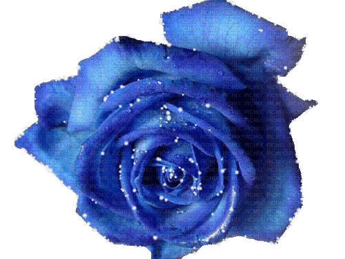 dolceluna glitter blue animated spring rose - 免费动画 GIF