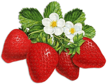 soave deco strawberry red green - 無料png