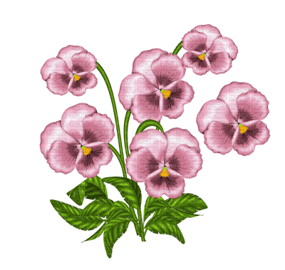 flower, Violet - фрее пнг