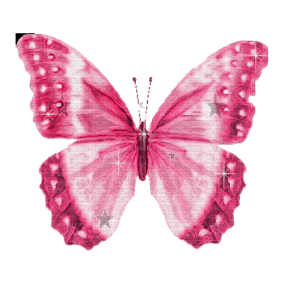 borboleta gif-l - 無料のアニメーション GIF