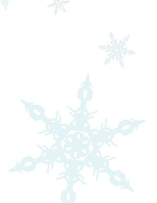 winter hiver snow neige snowflakes snowfall - png gratuito