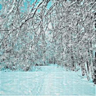 Winter forest snow background gif - Darmowy animowany GIF