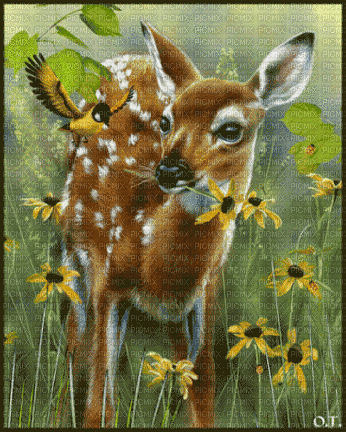 Lovely Deer - Бесплатни анимирани ГИФ