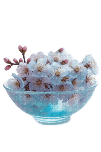 Spring Blossoms in a Bowl - nemokama png