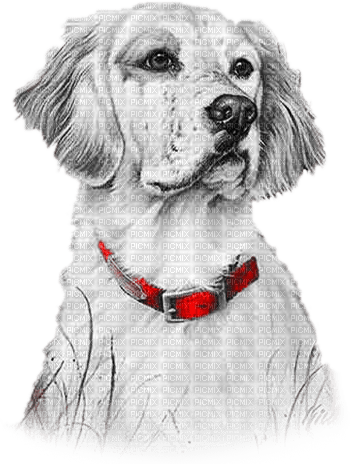 soave animals vintage autumn dog deco - PNG gratuit