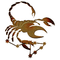 scorpion - ingyenes png