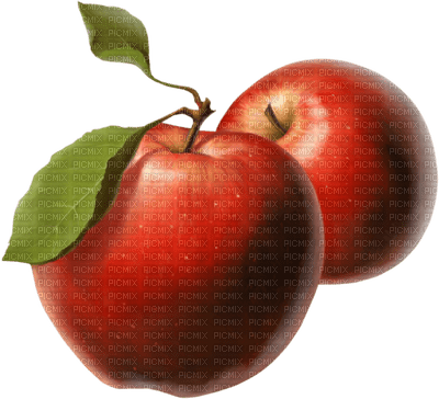 Kaz_Creations Apples Fruit - png ฟรี