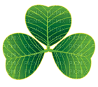 Kaz_Creations St Patrick's Day - 無料png