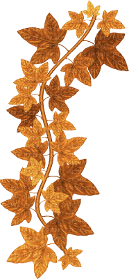 autumn-leaf - Free PNG