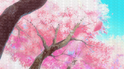 Background Sakura - Bezmaksas animēts GIF