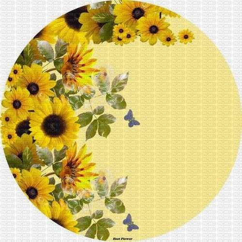 Background sunflowers - PNG gratuit