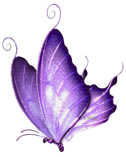 Y.A.M._Fantasy butterfly purple - Ingyenes animált GIF