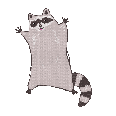 Raccoon - Gratis geanimeerde GIF