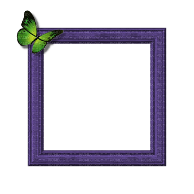 Small Purple Frame - бесплатно png