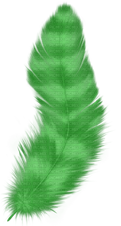 feder grün green - ücretsiz png