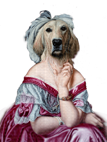 loly33 femme chien - δωρεάν png