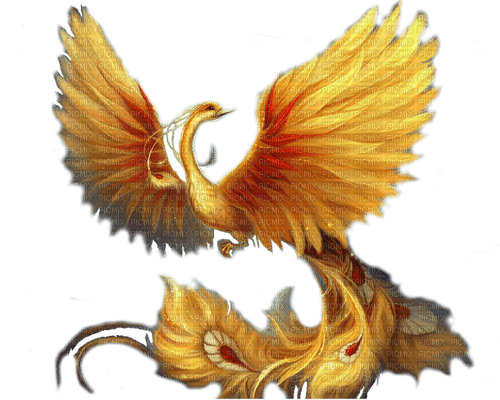 phoenix  by nataliplus - darmowe png