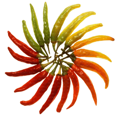 peppers - PNG gratuit