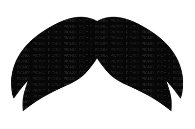 beard bart barbe  man mann homme men    tube deco  silhouette black fun walrus mustache  schnauzer - Free PNG
