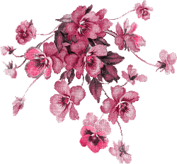 flower-pink - PNG gratuit